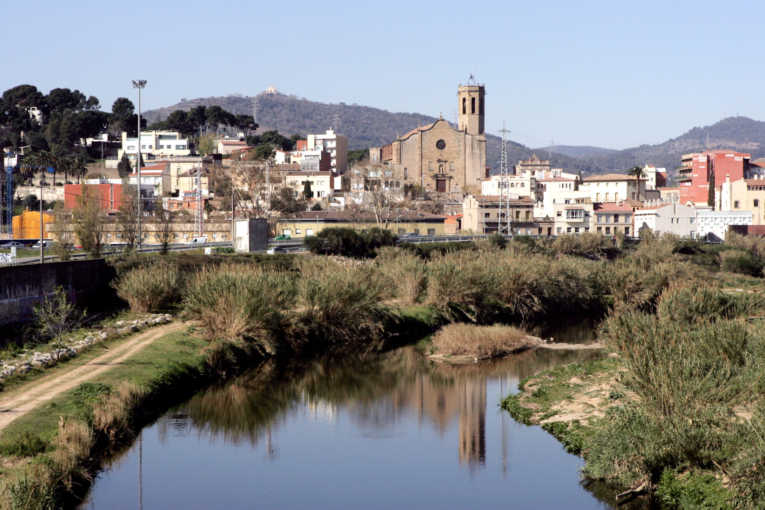 Diseno web en Sant Boi - Albert Martinez